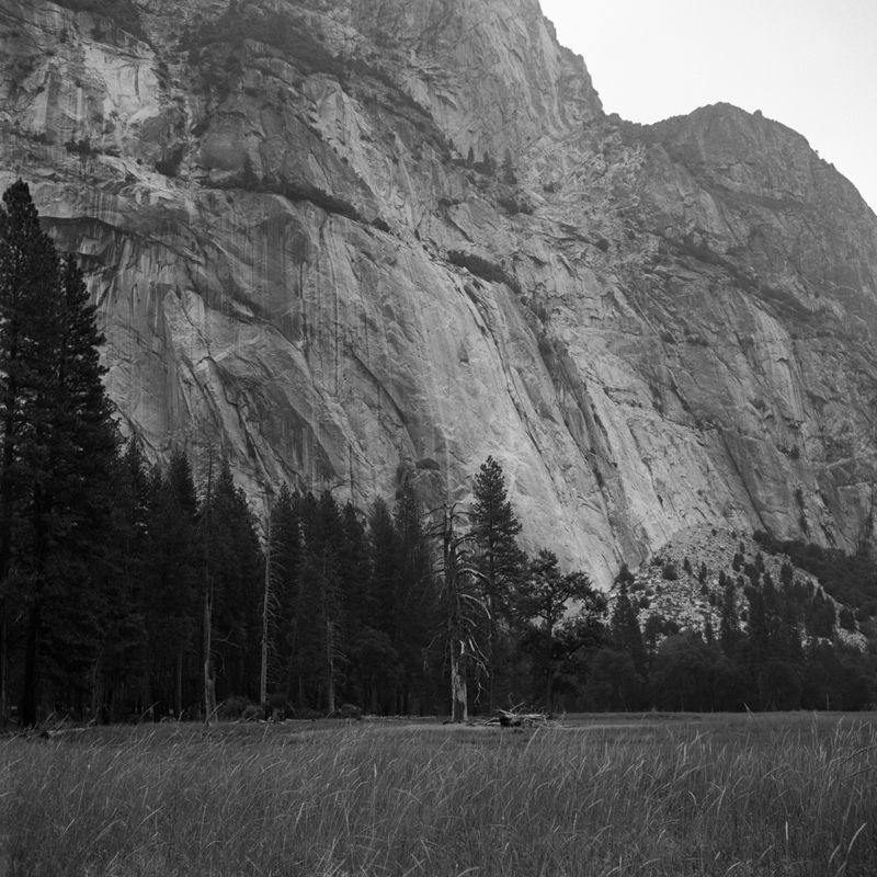 © Diana Patin - this looked like a photograph even without the camera