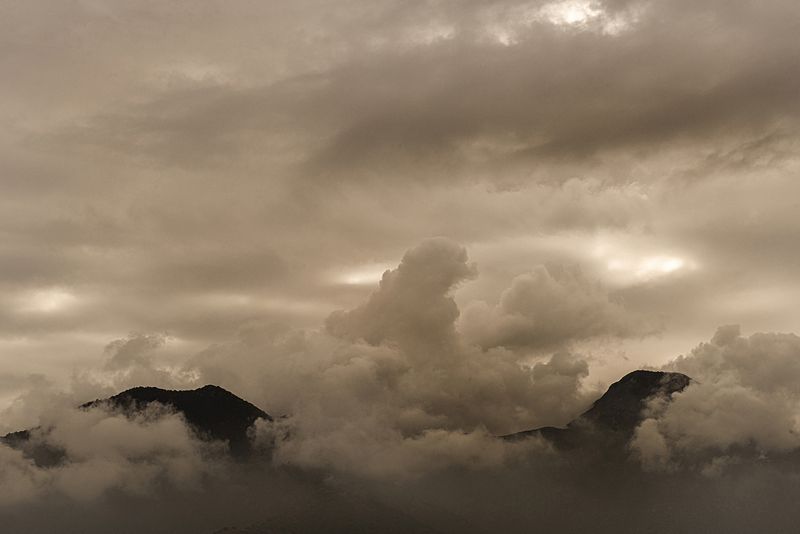 © Tamara Merino - Image from the Quarantine Diary photography project