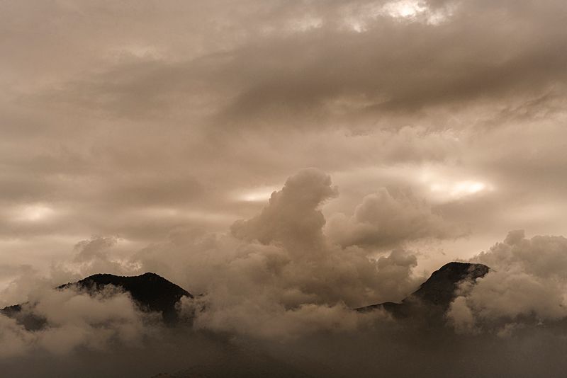 © Tamara Merino - Image from the Quarantine Diary photography project