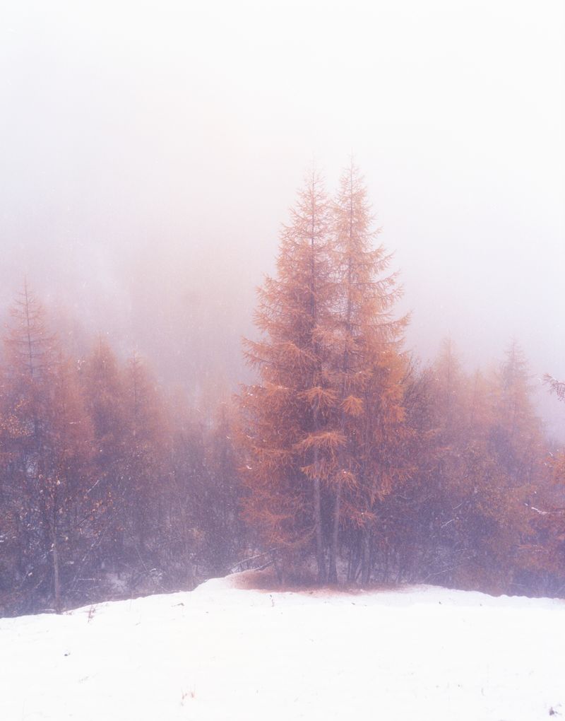 © Nola Minolfi - Chamois, Italy.