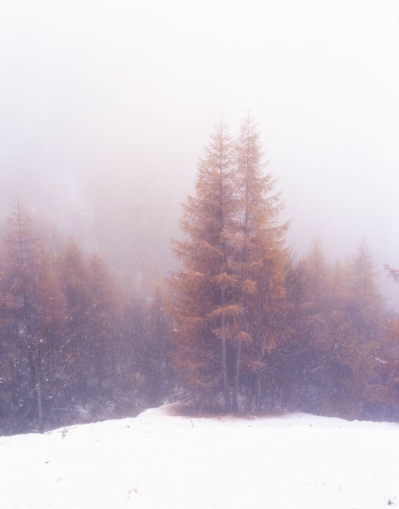 © Nola Minolfi - Chamois, Italy.