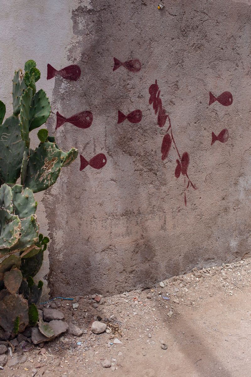 © Parisa Azadi - APRIL 22, 2019 - A view of an exterior wall of a house decorated with traditional painting on Hormuz Island, Iran.
