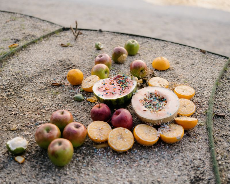 © Mathew Scott - Walter's fruit arrangement, Elysian Vally, 2022