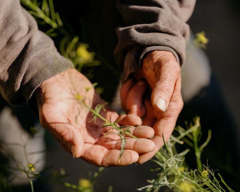 © Mathew Scott - Ronald foraging for edible plants, Compton, 2021