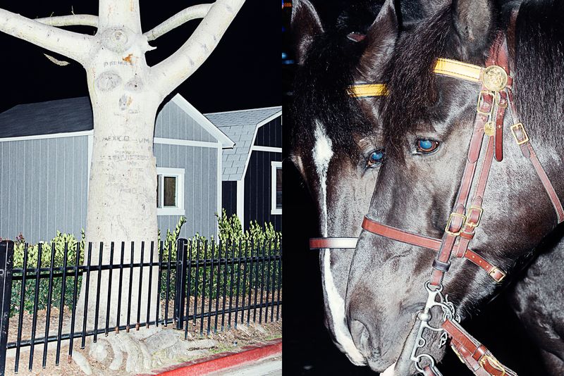 © Hiro Tanaka - Image from the Chicharrón photography project