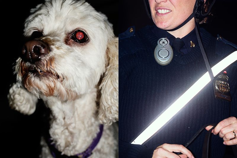 © Hiro Tanaka - Image from the Chicharrón photography project