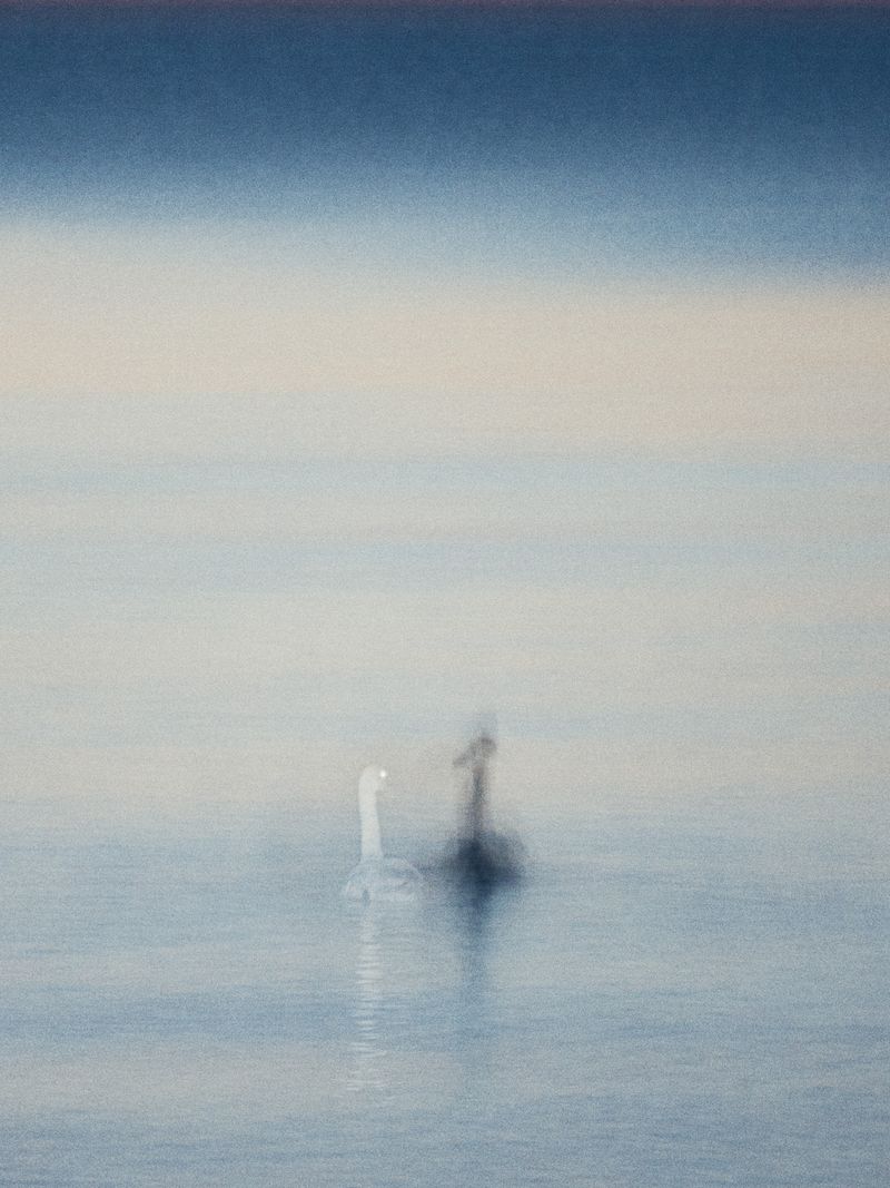 © Hiro Tanaka - Image from the Bolzo photography project