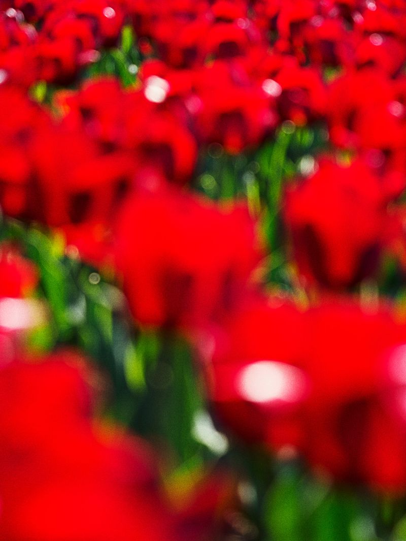 © Hiro Tanaka - Image from the Bolzo photography project