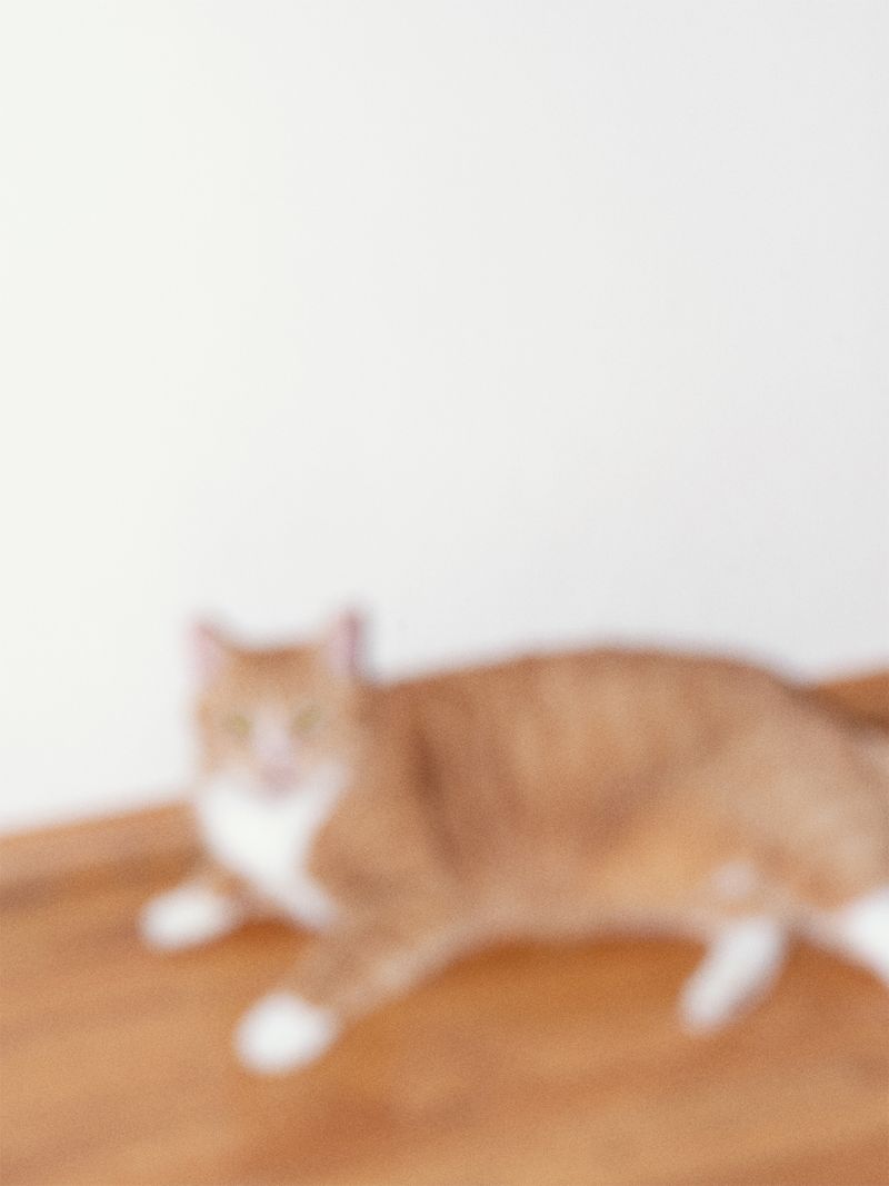 © Hiro Tanaka - Image from the Bolzo photography project