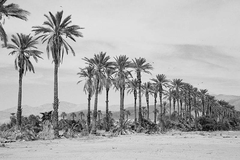 © Hiro Tanaka - Image from the Crowd photography project