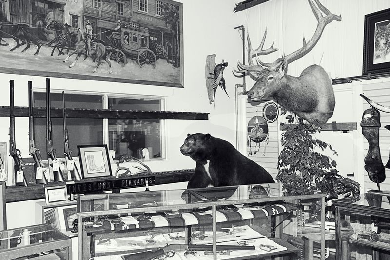 © Hiro Tanaka - Image from the Crowd photography project