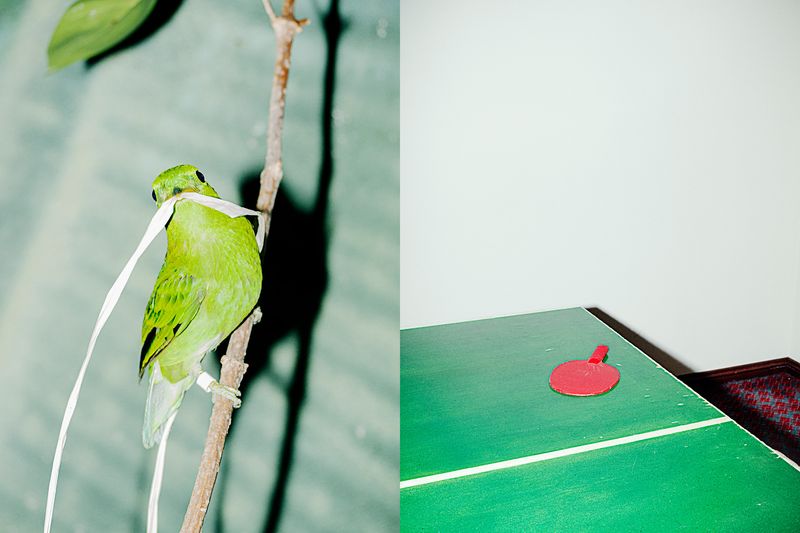 © Hiro Tanaka - Image from the Chicarron photography project