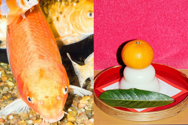 © Hiro Tanaka - Image from the Chicarron photography project