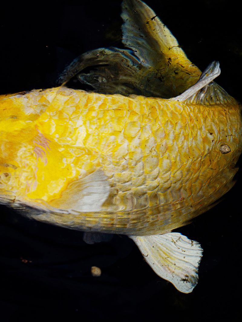 © Hiro Tanaka - Image from the TT-AT photography project