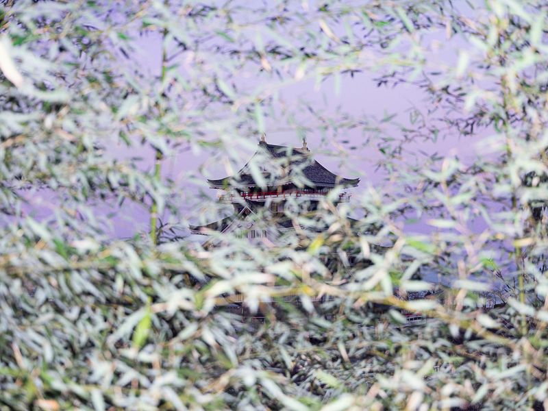 © Hiro Tanaka - Image from the TT-AT photography project