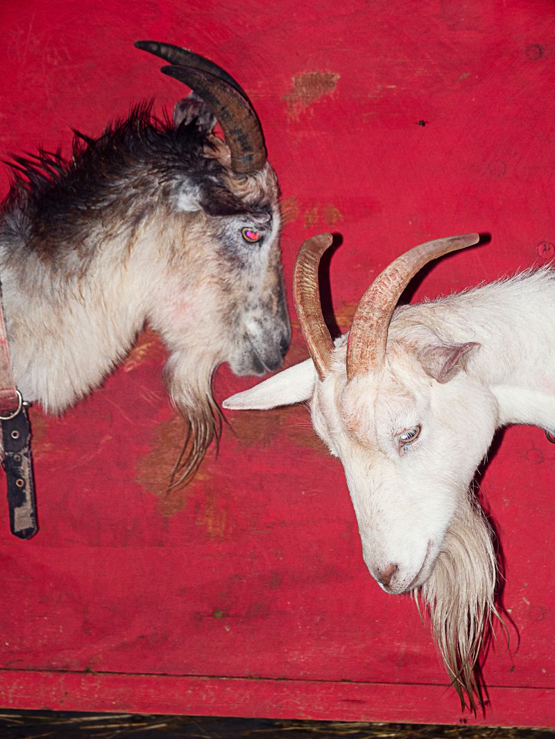 © Hiro Tanaka - Image from the TT-AT photography project