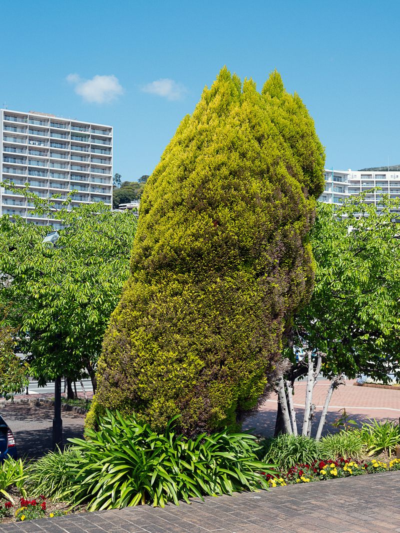 © Hiro Tanaka - Image from the TT-AT photography project