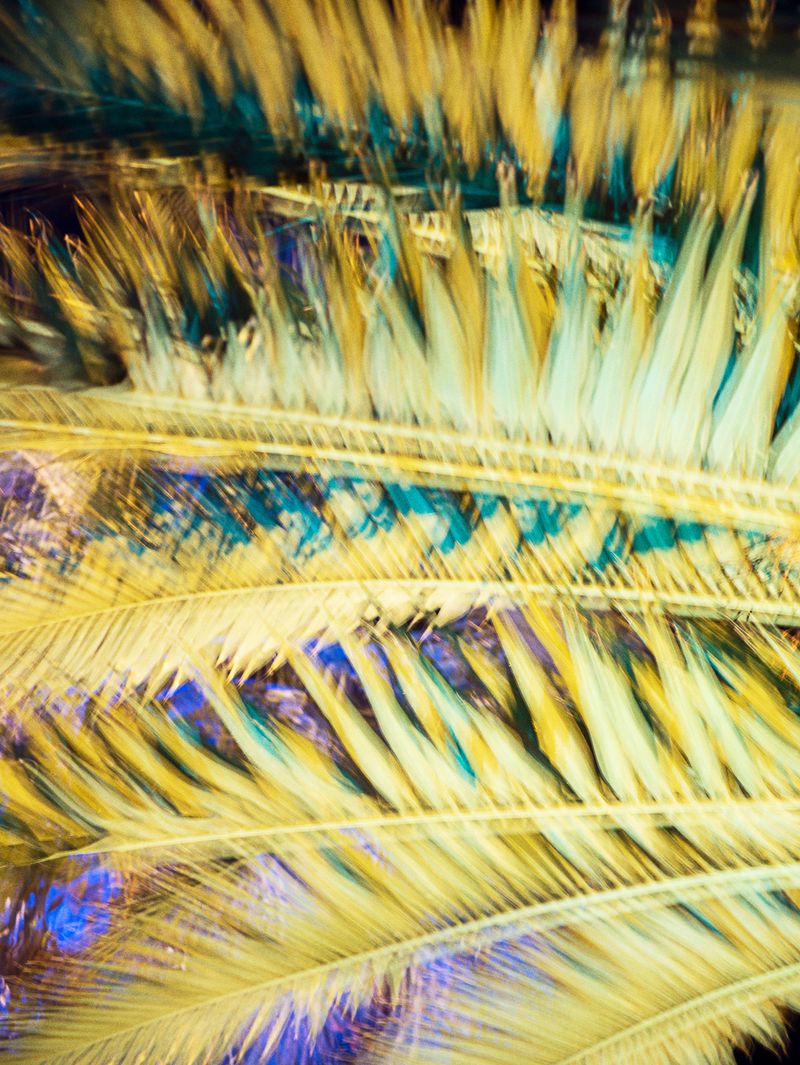 © Hiro Tanaka - Image from the TT-AT photography project