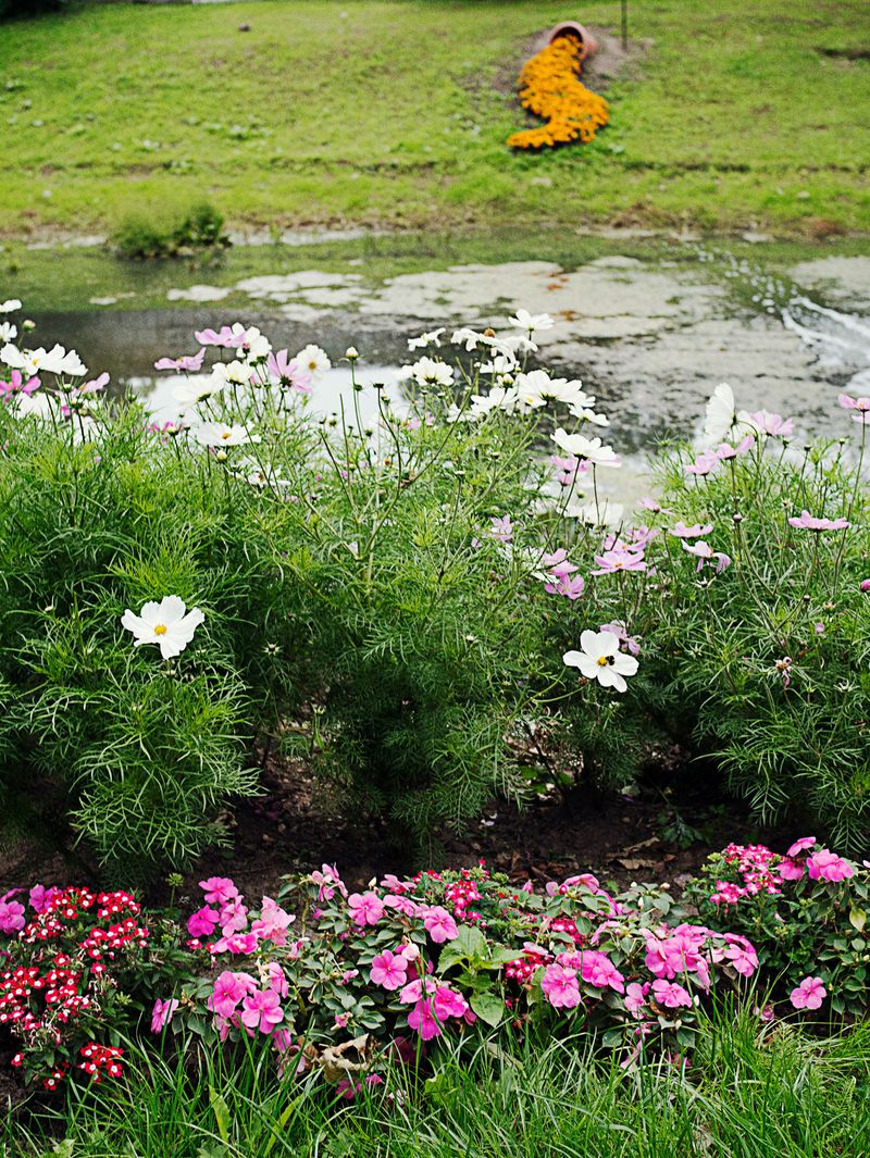 © Hiro Tanaka - Image from the TT-AT photography project