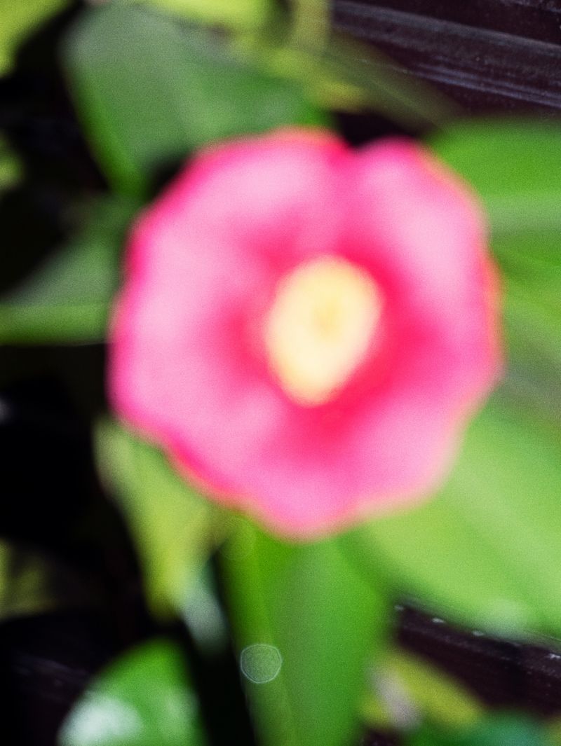 © Hiro Tanaka - Image from the TT-AT photography project