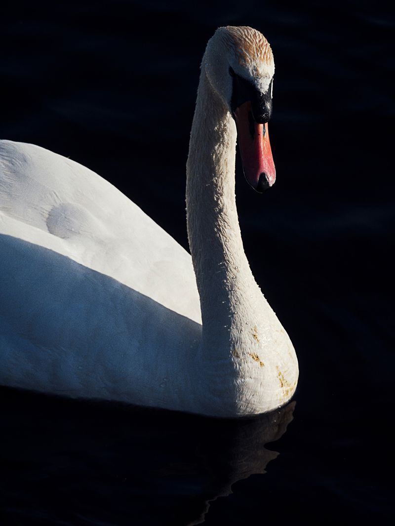 © Hiro Tanaka - Image from the TT-AT photography project