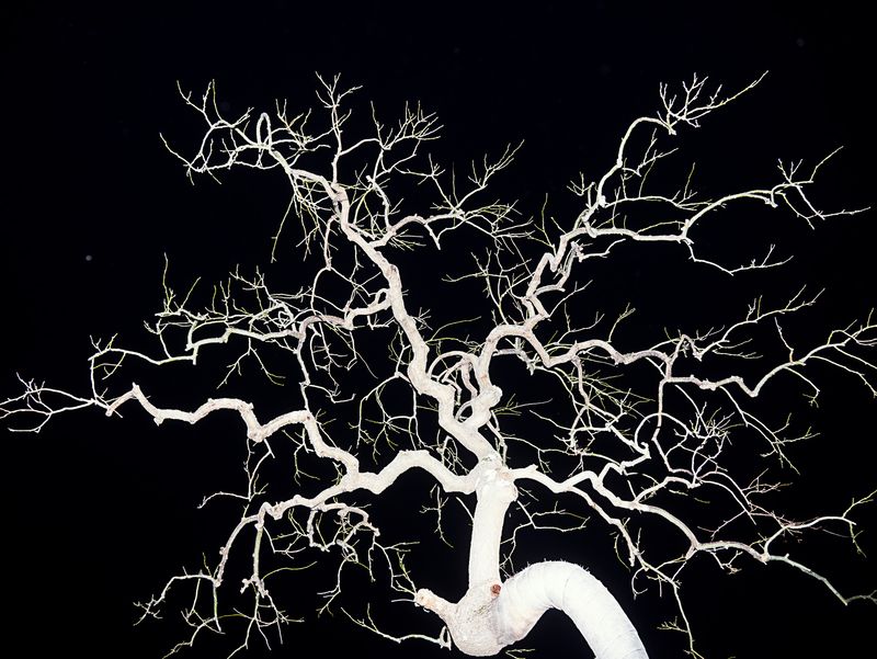 © Hiro Tanaka - Image from the TT-AT photography project