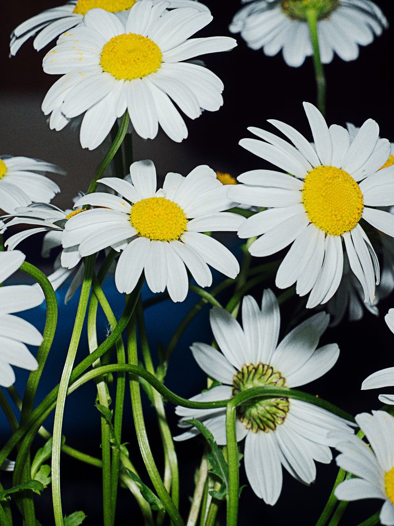 © Hiro Tanaka - Image from the BOLZO photography project