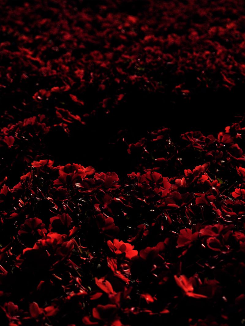 © Hiro Tanaka - Image from the BOLZO photography project