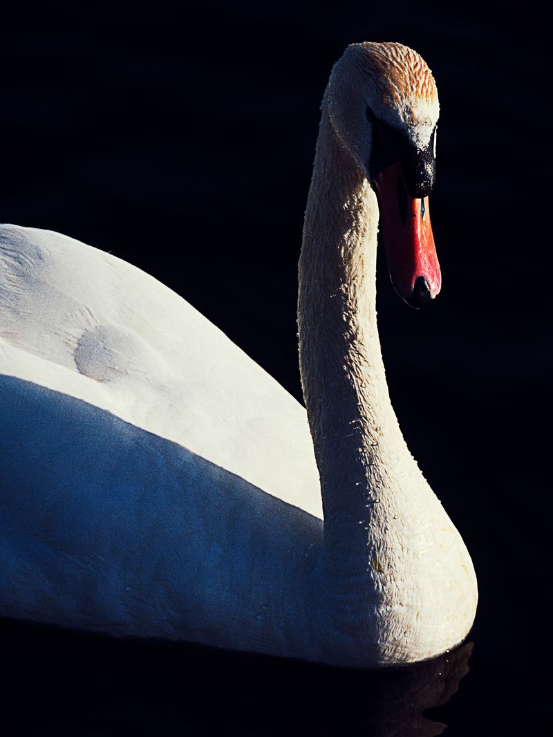 © Hiro Tanaka - Image from the BOLZO photography project