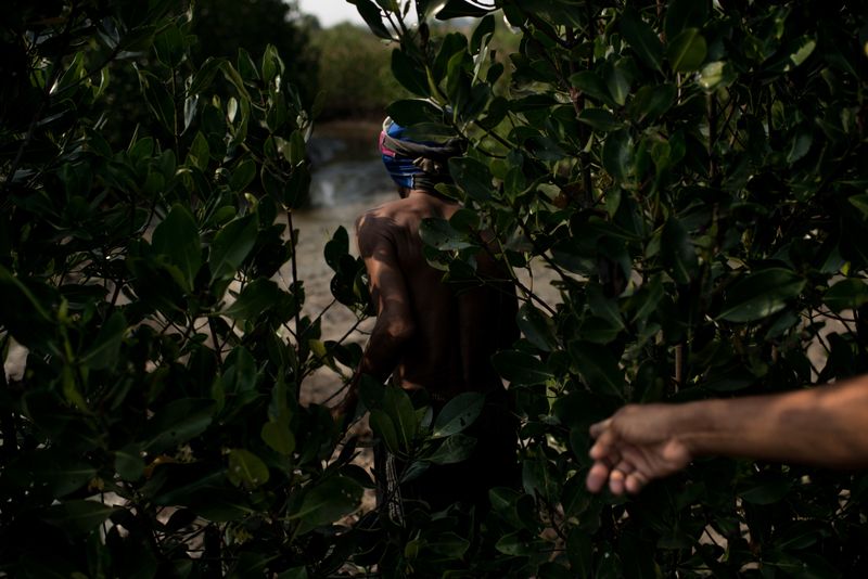 © Elisabetta Zavoli - Image from the The tree of life photography project