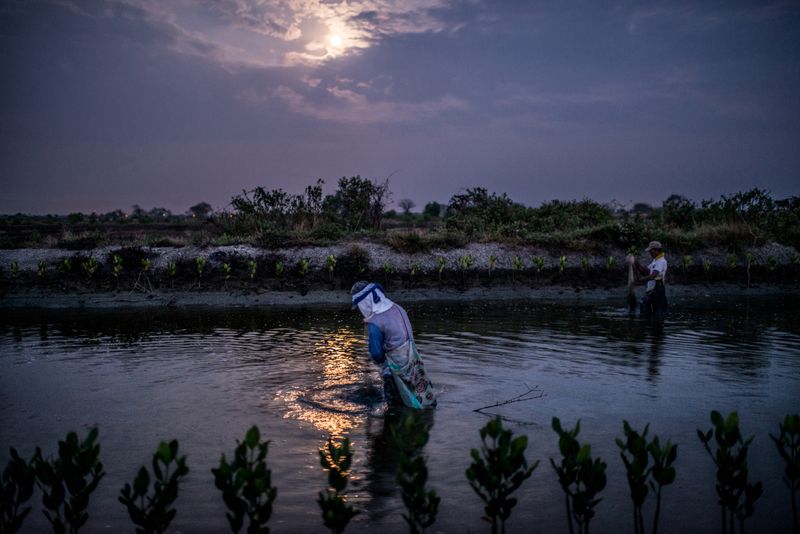 © Elisabetta Zavoli - Image from the The tree of life photography project