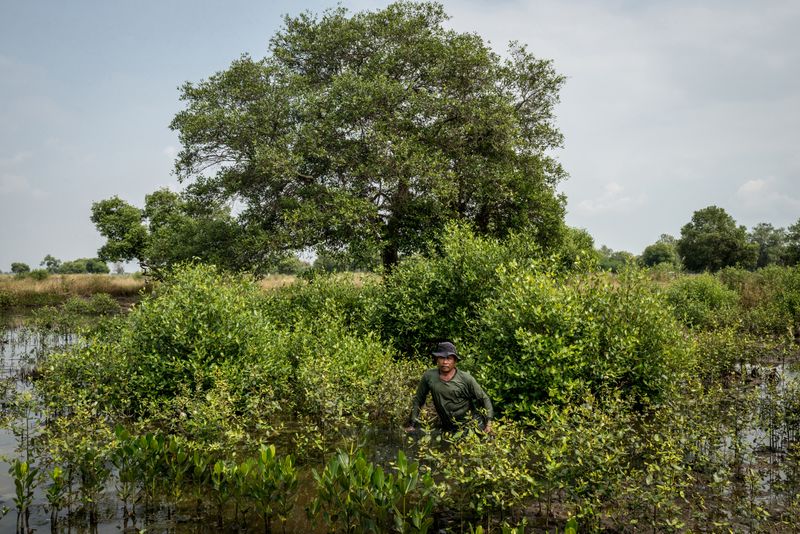 © Elisabetta Zavoli - Image from the The tree of life photography project