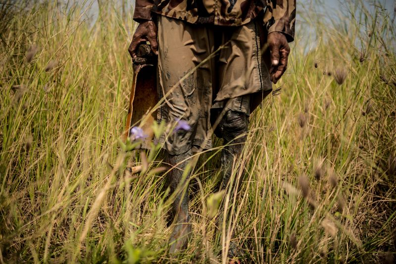 © Elisabetta Zavoli - Image from the The tree of life photography project