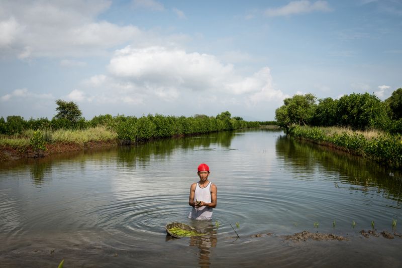 © Elisabetta Zavoli - Image from the The tree of life photography project