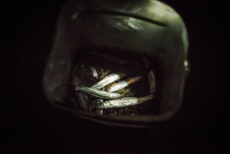 © Elisabetta Zavoli - Image from the The tree of life photography project