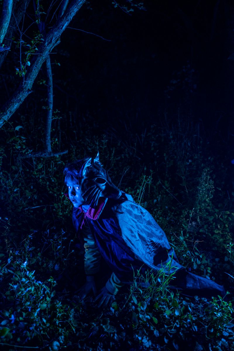 © Elisabetta Zavoli - "Fox"