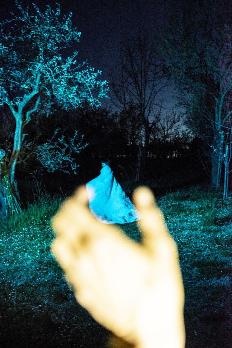 © Elisabetta Zavoli - "Bird"