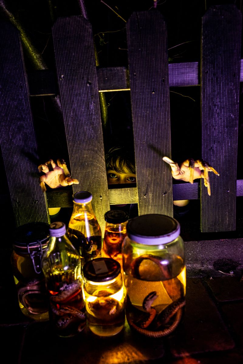 © Elisabetta Zavoli - "Wizard"