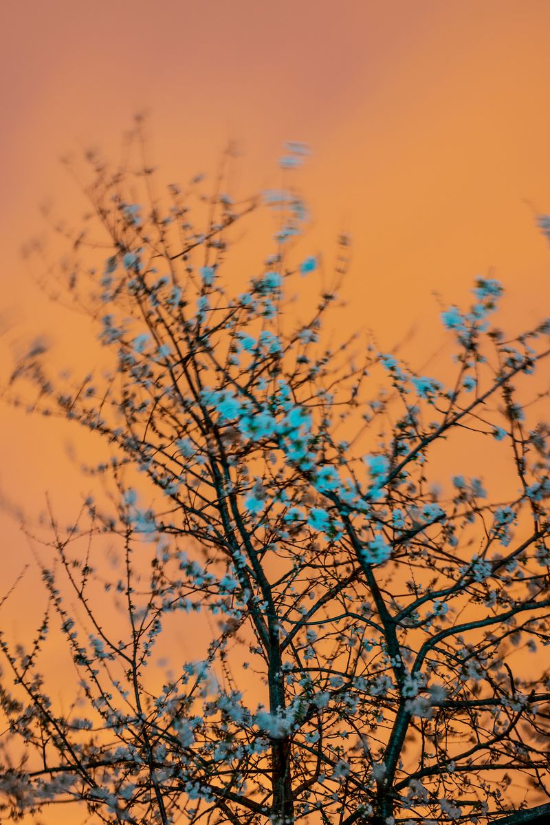 © Elisabetta Zavoli - "Storm"