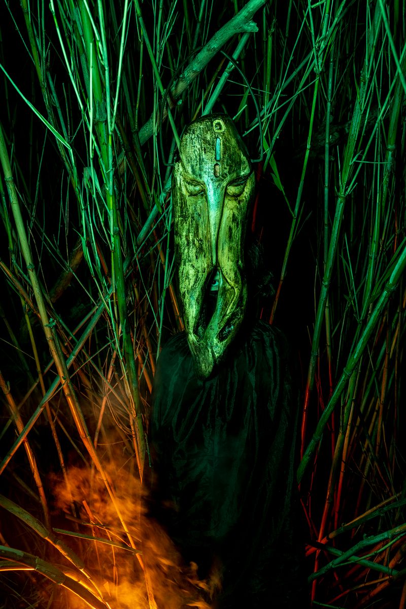 © Elisabetta Zavoli - "Alien"