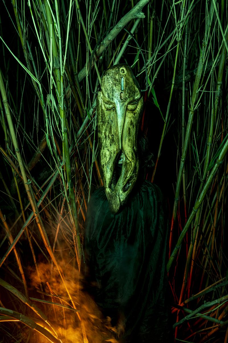 © Elisabetta Zavoli - "Alien"