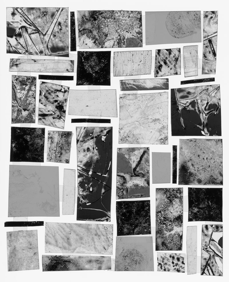 © Claire A. Warden - Image from the Mimesis photography project