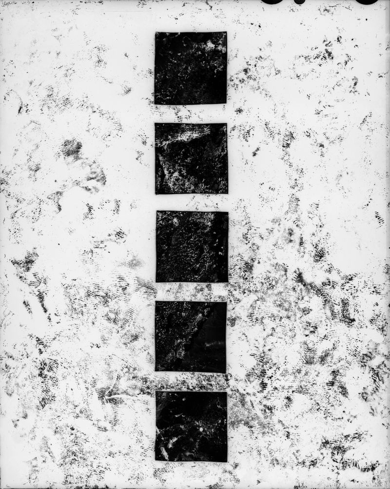 © Claire A. Warden - Image from the Mimesis photography project