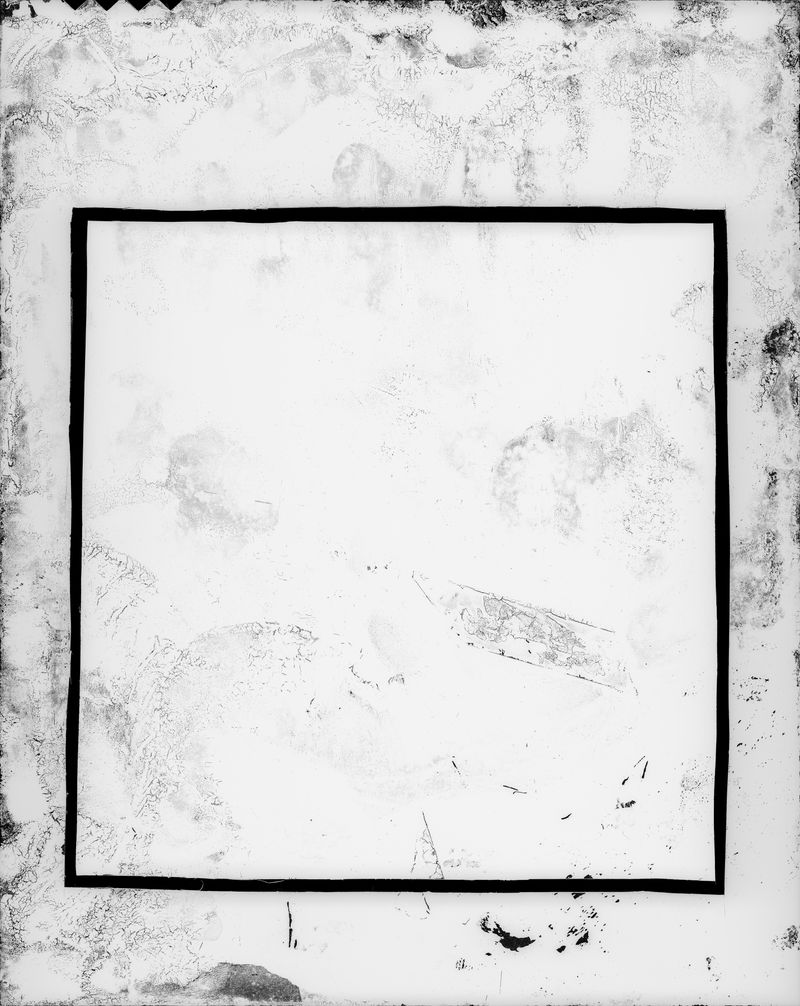 © Claire A. Warden - White Passing