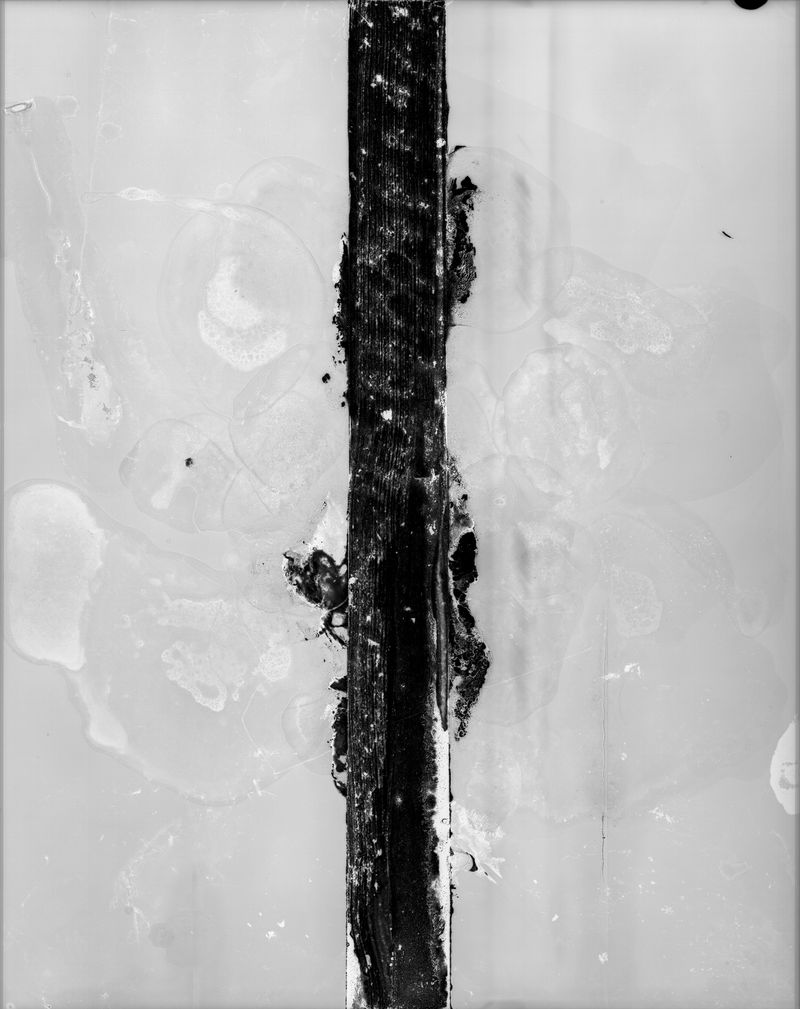 © Claire A. Warden - Object