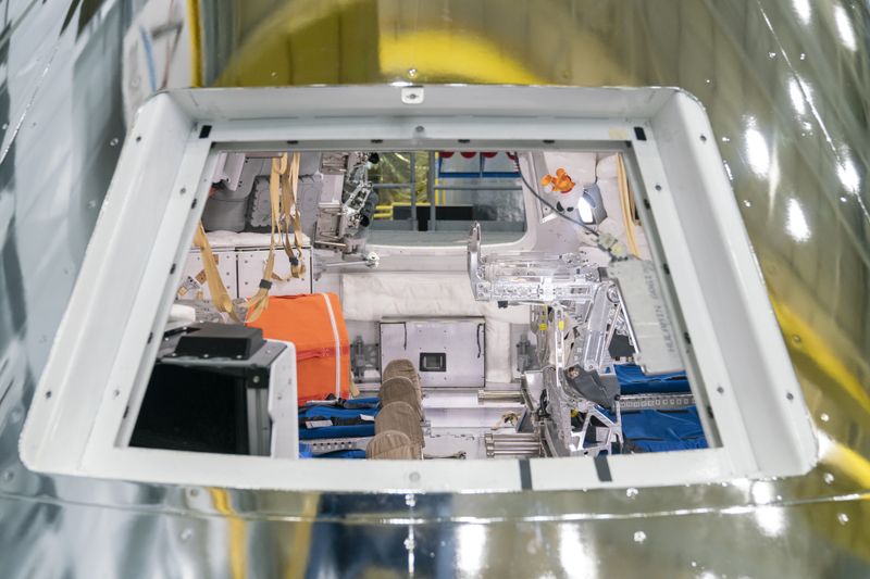 © Mackenzie Calle - Image from the The Gay Space Agency photography project