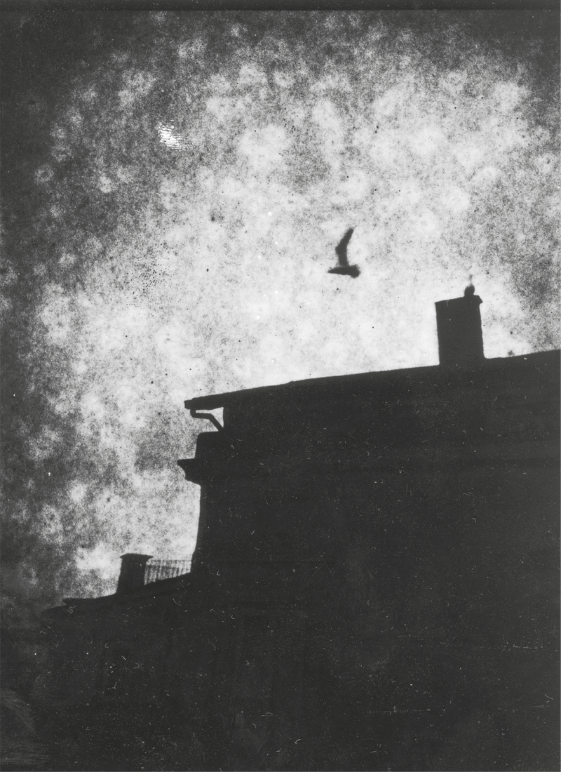 © Giuseppe Riccardi - Image from the Under the mulberry trees photography project