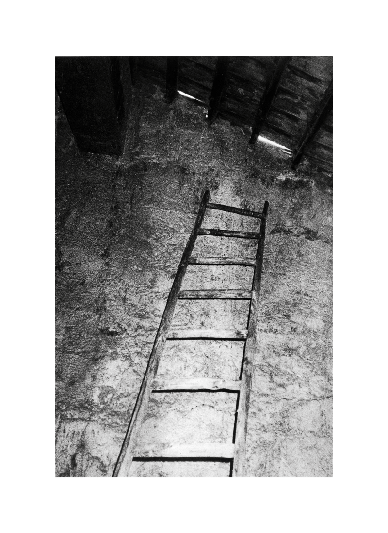© Giuseppe Riccardi - Image from the Under the mulberry trees photography project