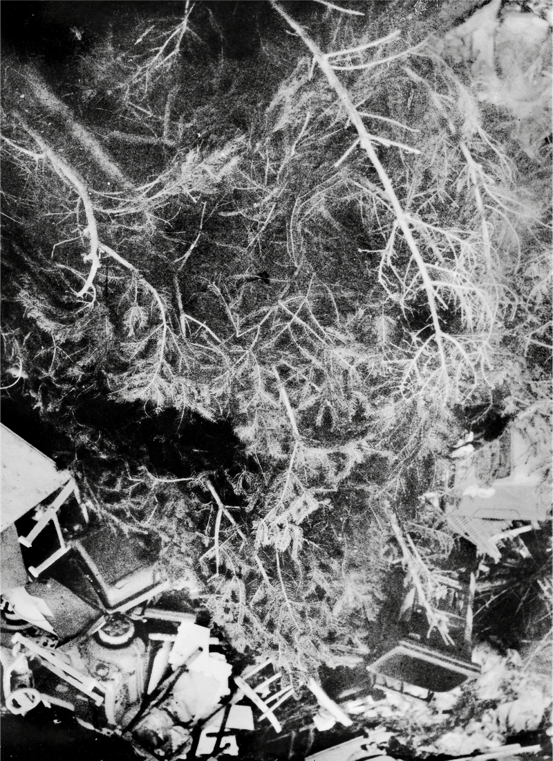 © Giuseppe Riccardi - Image from the Under the mulberry trees photography project
