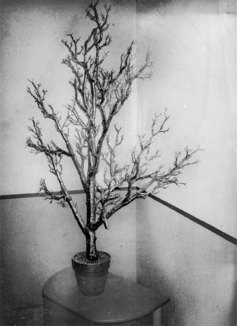 © Giuseppe Riccardi - Image from the Under the mulberry trees photography project